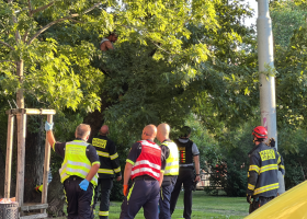 Muž chtěl skočit ze stromu. Záchranáři ho nalákali na limonádu