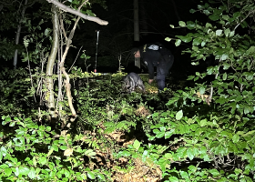 Hledaný a ozbrojený muž na Rychnovsku byl pravděpodobně nalezen mrtev v lese. Zastřelil se