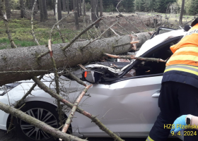 U Rokycan spadl strom na projíždějící auto